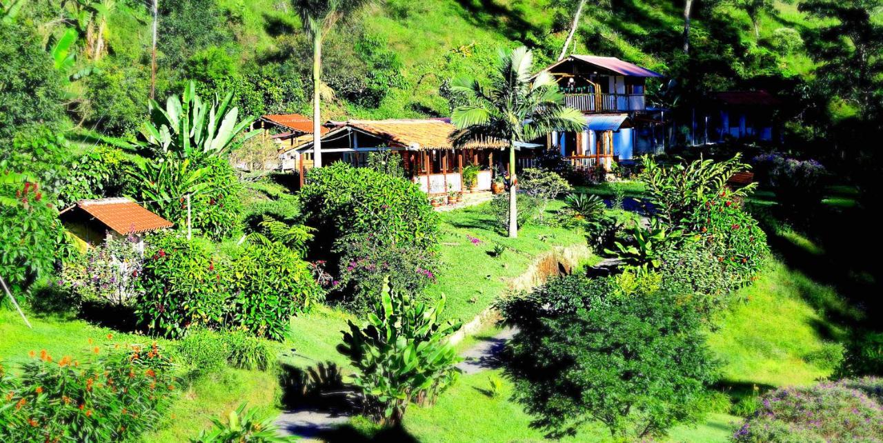 Ecolodge Puente Explanacion Σαλέντο Εξωτερικό φωτογραφία