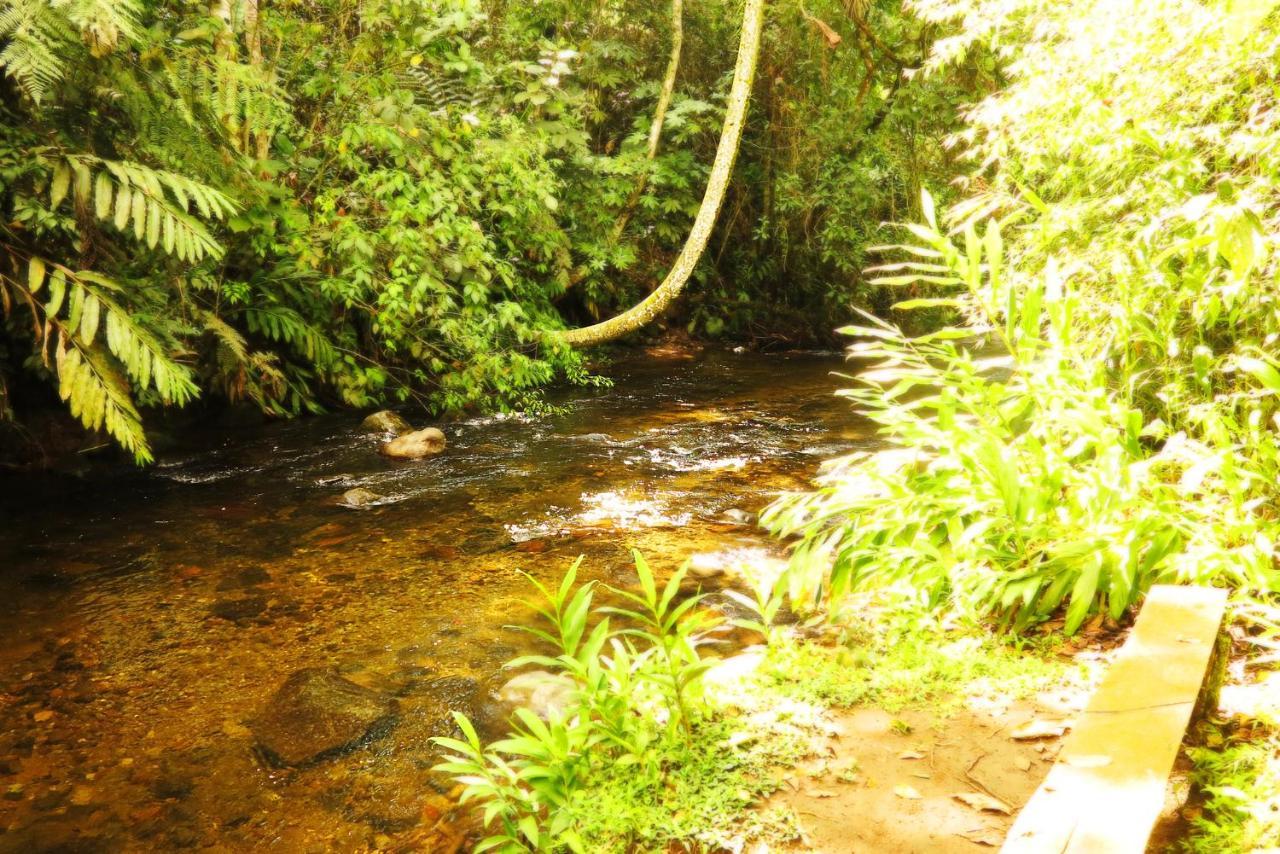 Ecolodge Puente Explanacion Σαλέντο Εξωτερικό φωτογραφία
