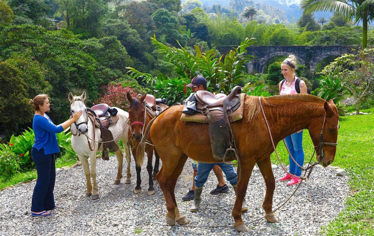 Ecolodge Puente Explanacion Σαλέντο Εξωτερικό φωτογραφία