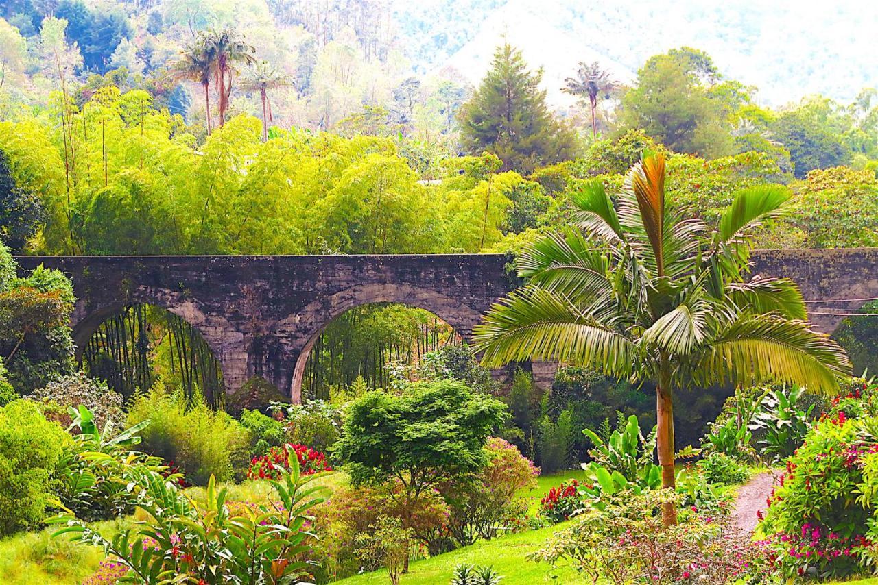 Ecolodge Puente Explanacion Σαλέντο Εξωτερικό φωτογραφία
