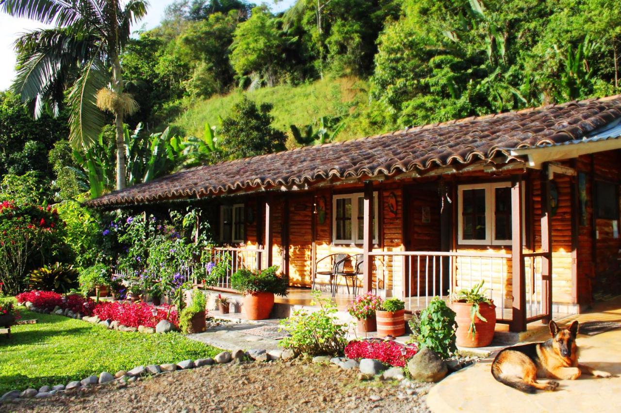 Ecolodge Puente Explanacion Σαλέντο Εξωτερικό φωτογραφία