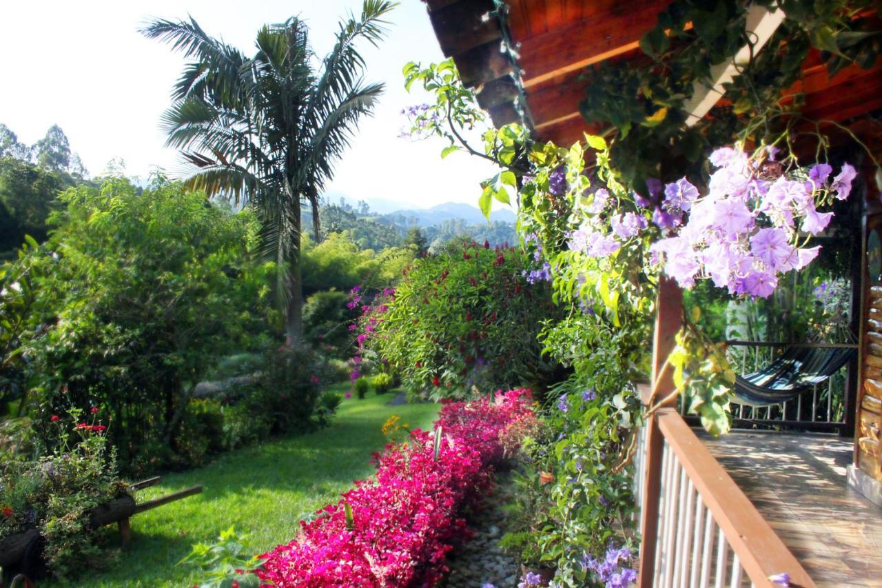 Ecolodge Puente Explanacion Σαλέντο Εξωτερικό φωτογραφία