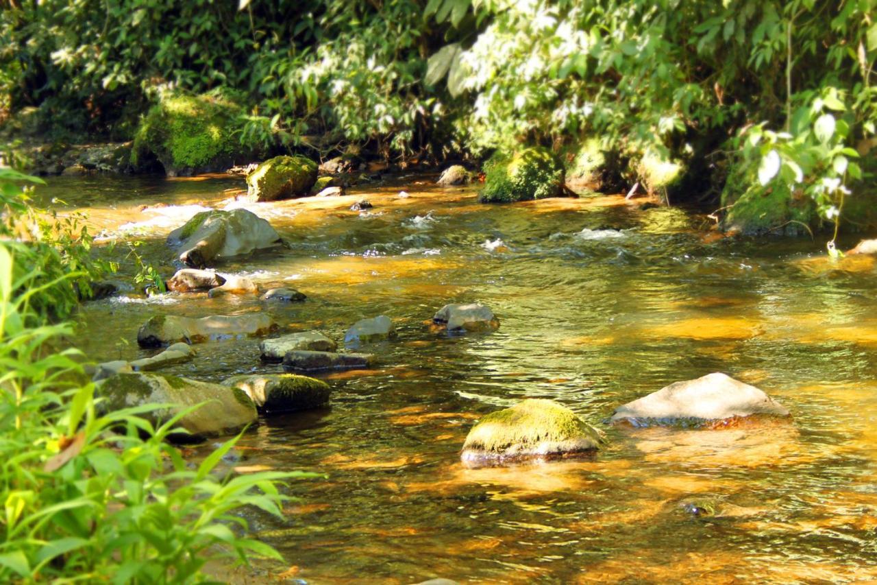 Ecolodge Puente Explanacion Σαλέντο Εξωτερικό φωτογραφία