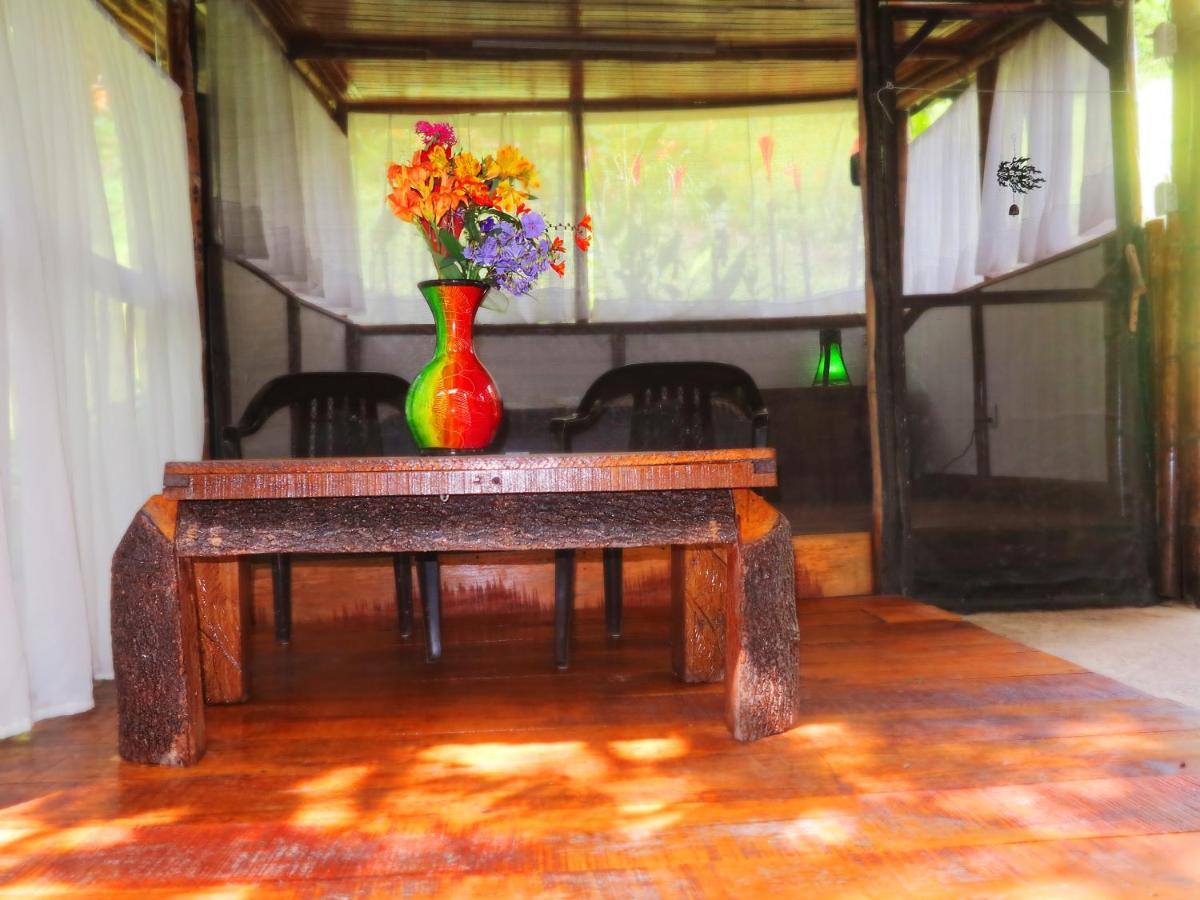 Ecolodge Puente Explanacion Σαλέντο Εξωτερικό φωτογραφία