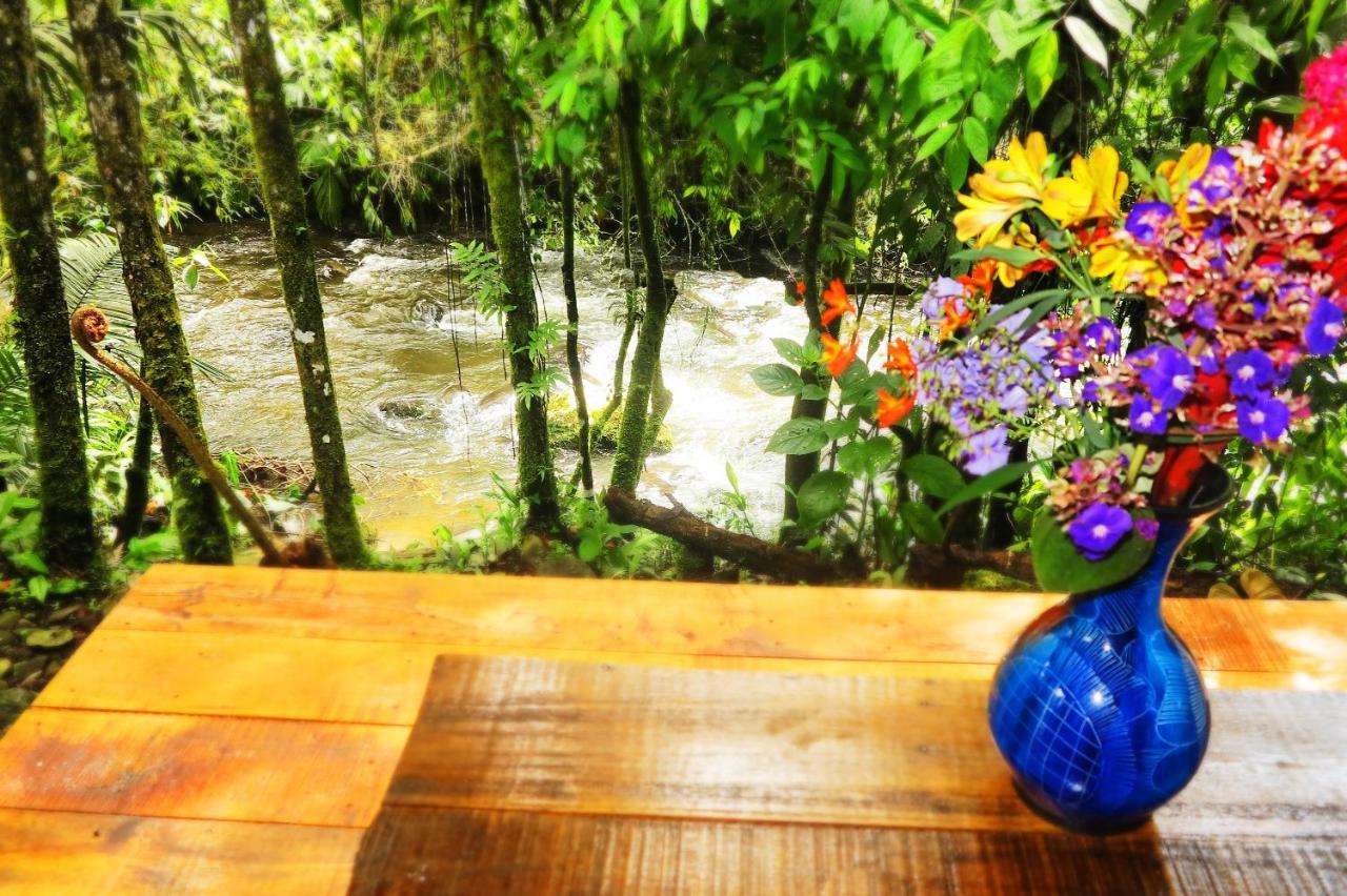 Ecolodge Puente Explanacion Σαλέντο Εξωτερικό φωτογραφία